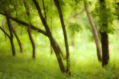 soyutlama. doğa. Park