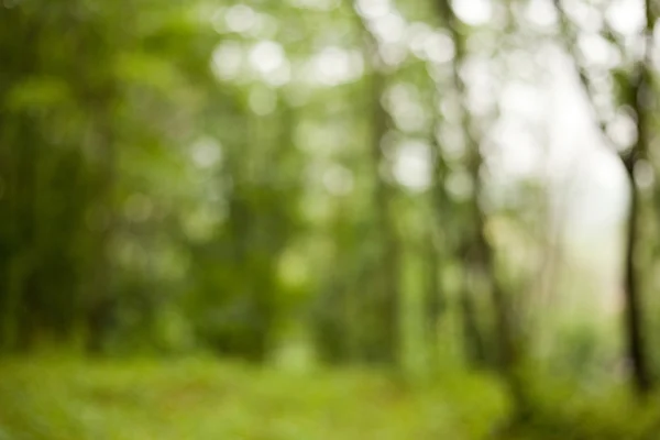 soyutlama. doğa. Park