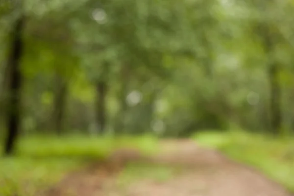 soyutlama. doğa. Park