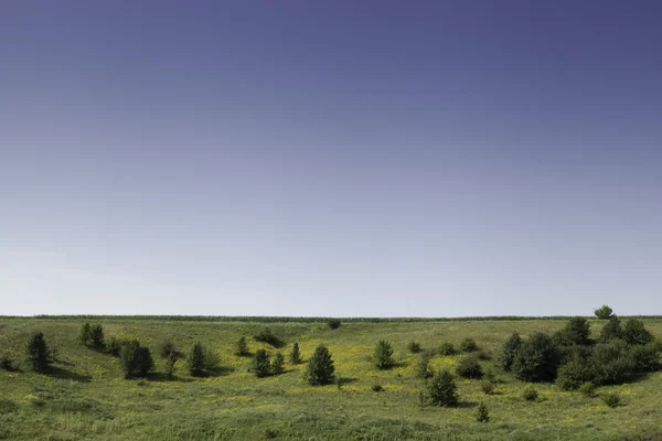 Landschap — Stockfoto