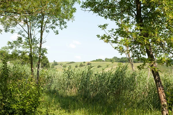 Landschap — Stockfoto