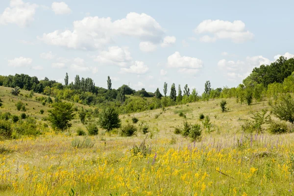 Krajina — Stock fotografie