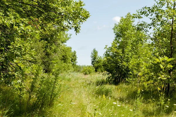 Landschap — Stockfoto