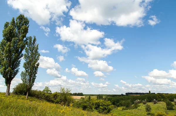 Landschap — Stockfoto