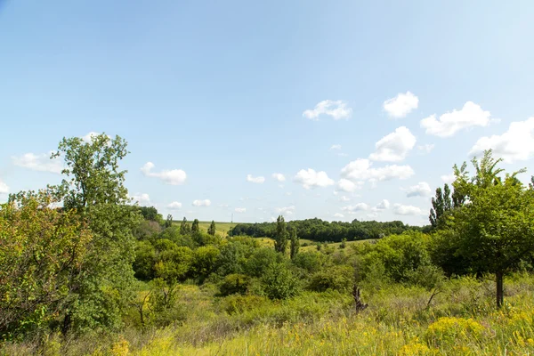 Paisaje — Foto de Stock