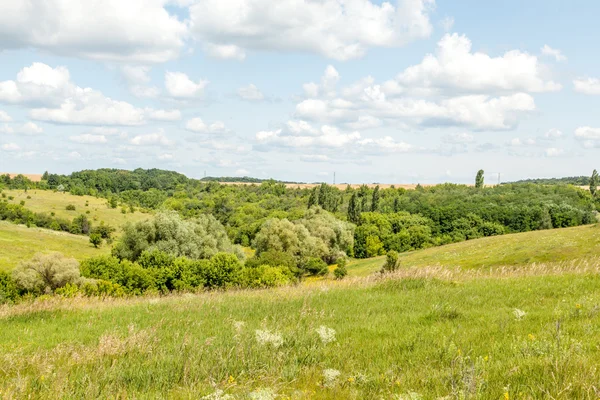 Paesaggio — Foto Stock