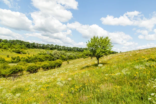 Landschap — Stockfoto