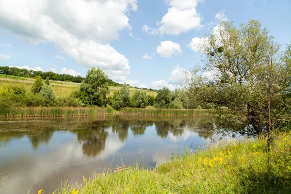 Zomer landschap — Stockfoto