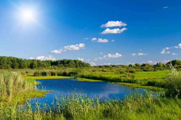 Lake in zonnige dag — Stockfoto