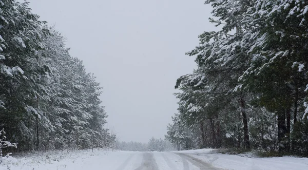Duże opady śniegu na drodze — Zdjęcie stockowe