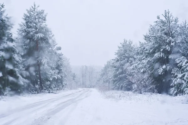 Husté sněžení v cestě — Stock fotografie