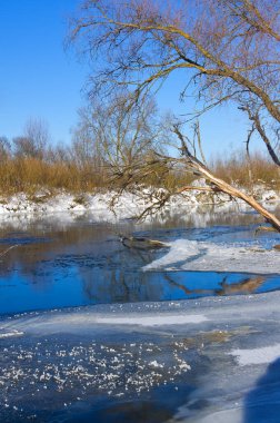Soğuk güneşli bir günde kış nehri