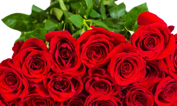 Strauß Roter Rosen Auf Weißem Hintergrund — Stockfoto