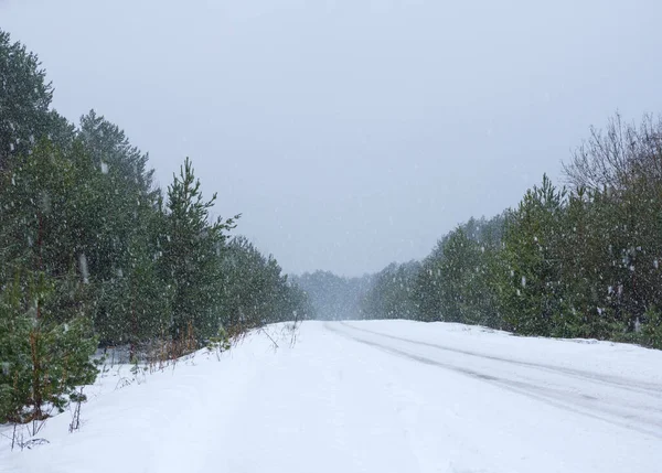 Pesanti Nevicate Sulla Strada — Foto Stock