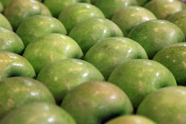 Green apples — Stock Photo, Image