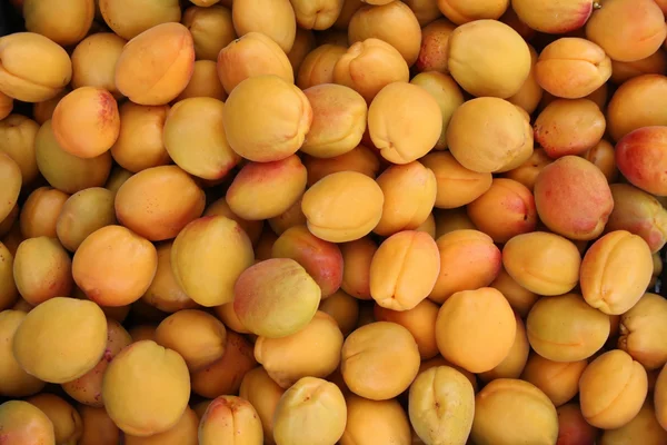 Apricots — Stock Photo, Image