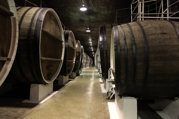 The cellars of the winery — Stock Photo, Image