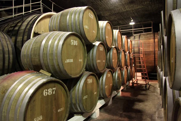 The cellars of the winery — Stock Photo, Image