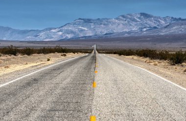 Ölüm Vadisi, Kaliforniya Yolu