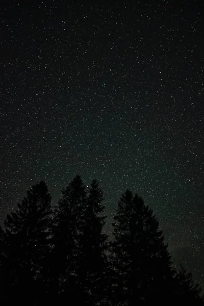 Estrelas Subindo Sobre Spruce Knob Lake Virgínia Ocidental — Fotografia de Stock