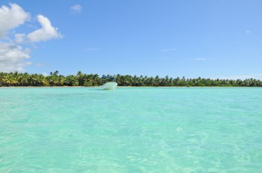 Isla Sona, DR