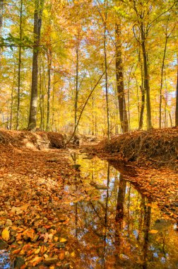 Accotink Park, Va