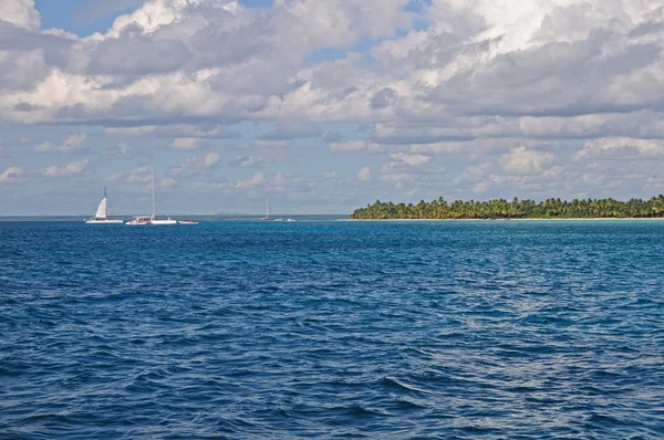 Sona de la isla, el Dr. — Foto de Stock