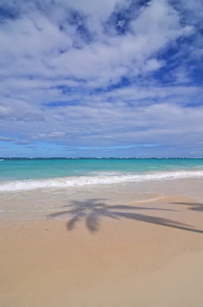 Punta Cana, République dominicaine — Photo