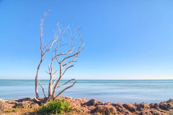 Bahia honda parque estadual — Fotografia de Stock