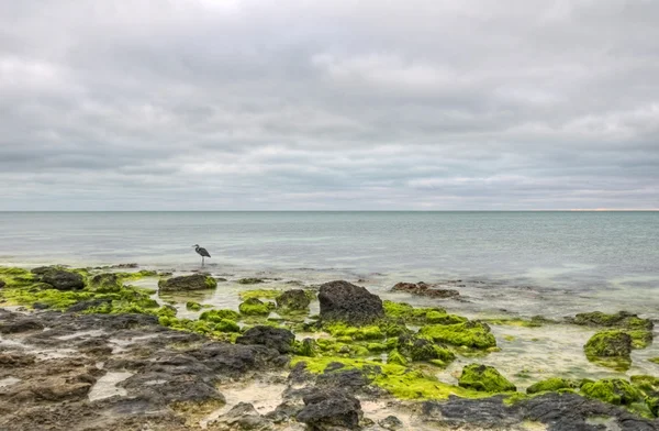 Nascer do sol na Bahia Honda — Fotografia de Stock