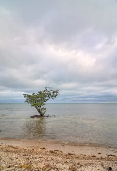 Bahia honda parque estadual — Fotografia de Stock