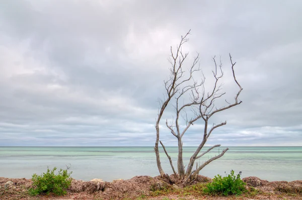 Bahia honda parque estadual — Fotografia de Stock