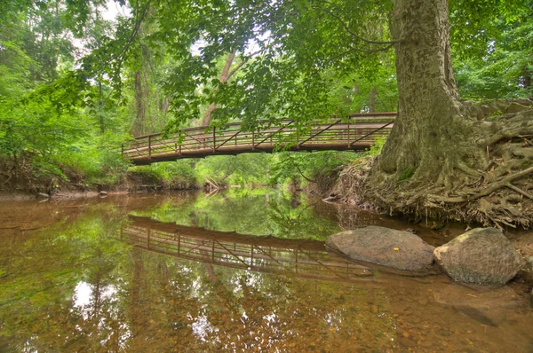 Міст у лісі — стокове фото