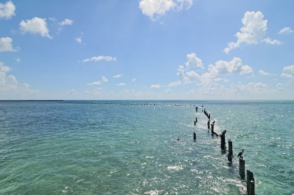 キーウェストとフロリダキーズのビーチ — ストック写真