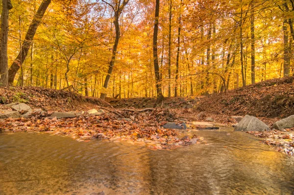 Accotink Park, Va — Fotografia de Stock