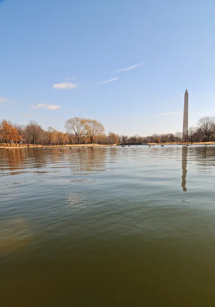 A washington-emlékmű — Stock Fotó