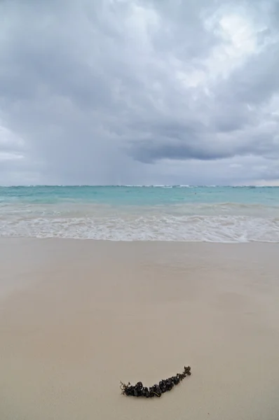 Punta Cana, Dominikana — Zdjęcie stockowe