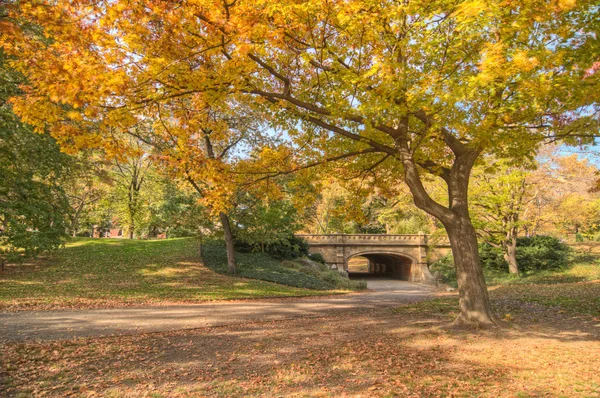 Central Park, New York — Foto Stock