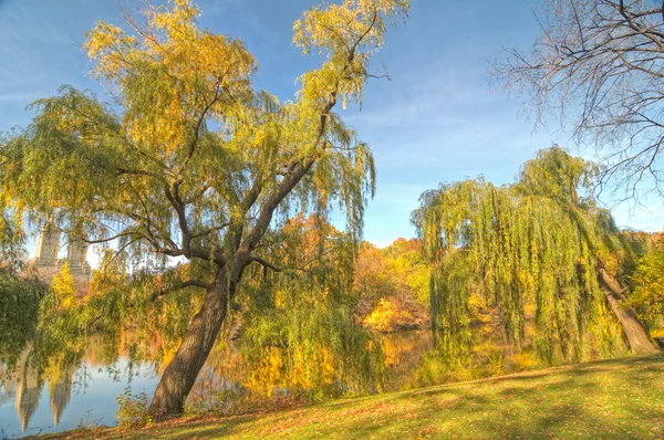 Central Park, Ny — Fotografia de Stock