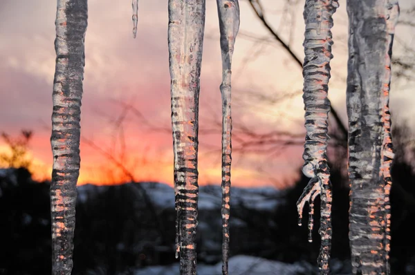 Восход солнца в холодный день — стоковое фото
