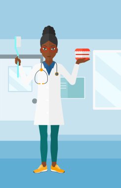 Dişçi diş çene modeli ve diş fırçası.