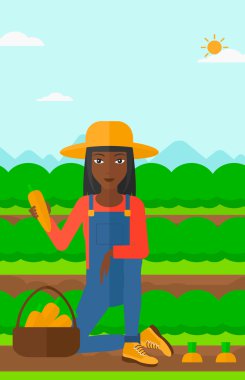 Çiftçi toplama havuç.