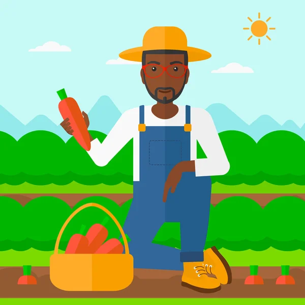 Agricultor coletando cenouras . — Vetor de Stock