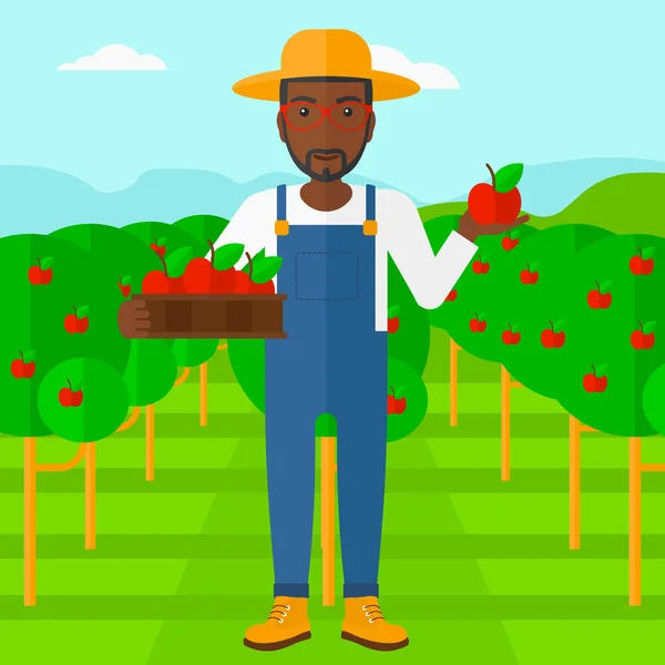 Farmer collecting apples. Stock Illustration