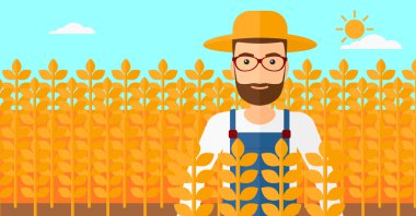 Buğday tarlasında bir adam.