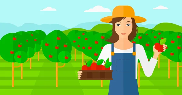 Landwirt sammelt Äpfel. — Stockvektor