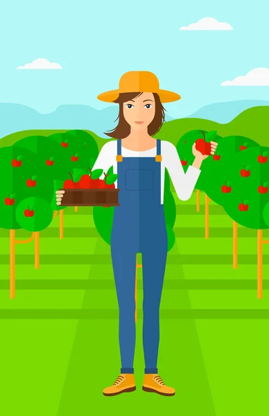Agriculteur ramassant des pommes . — Image vectorielle