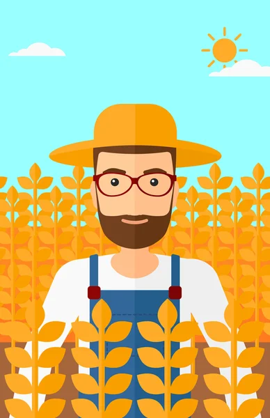 Hombre en campo de trigo. — Vector de stock