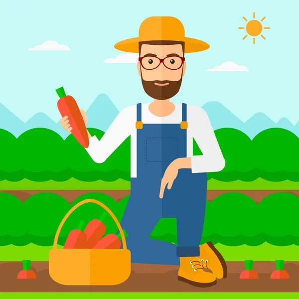 Agricultor coletando cenouras . — Vetor de Stock