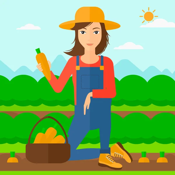 Agricultor recogiendo zanahorias . — Vector de stock